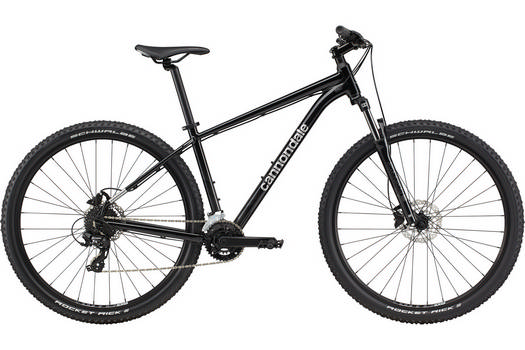 cannondale Trail 29 8 grey