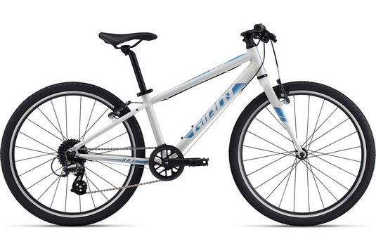 ARX 24 giant ARX 24