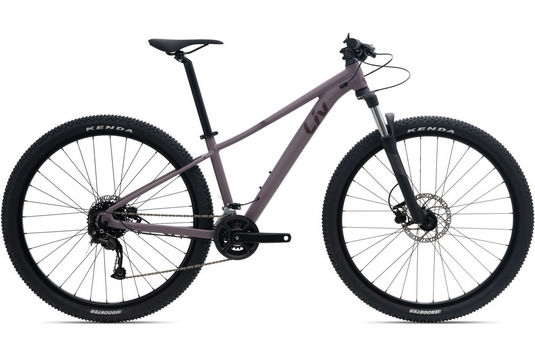 Tempt 29 3-GE giantliv Tempt 29 3-GE